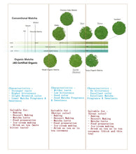 Load image into Gallery viewer, Meiko Uji Matcha