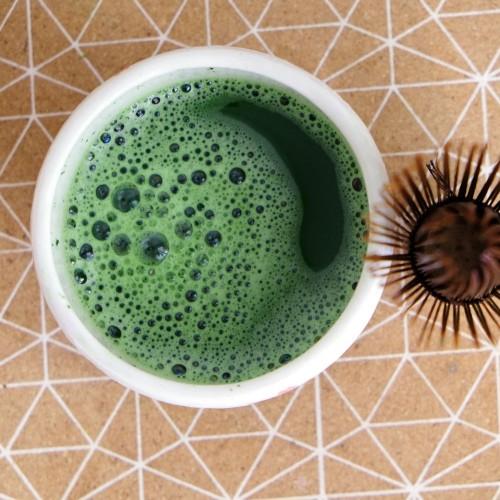 Okumidori Yame Ceremonial Matcha